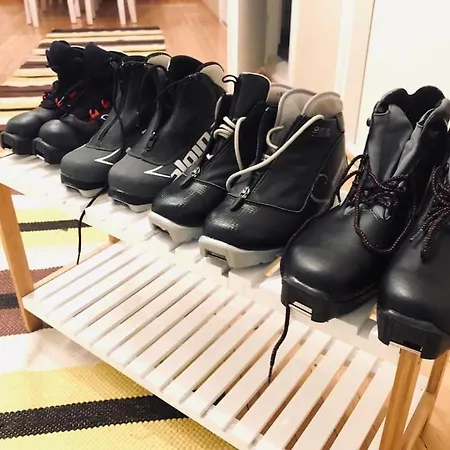 Apartamento Authentic Wooden House By The River With An Igloo *