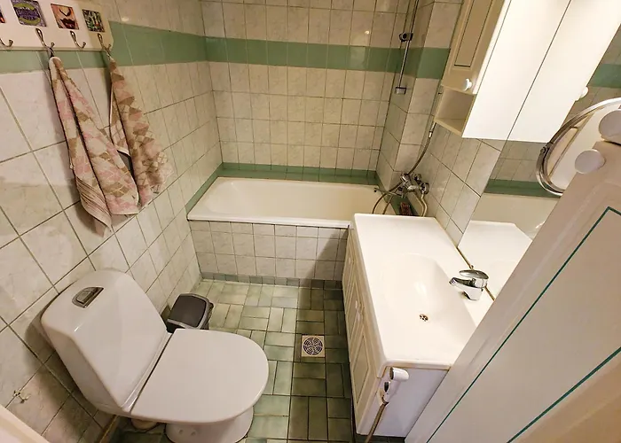 Authentic Wooden House By The River With An Igloo דירה