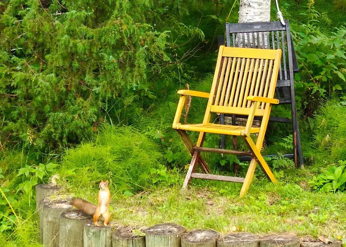 Authentic Wooden House By The River With An Igloo דירה